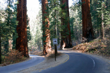 Národné parky USA – Úvod a Sequoia National Park